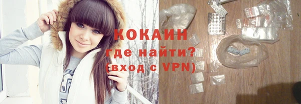 ГАЛЛЮЦИНОГЕННЫЕ ГРИБЫ Инта