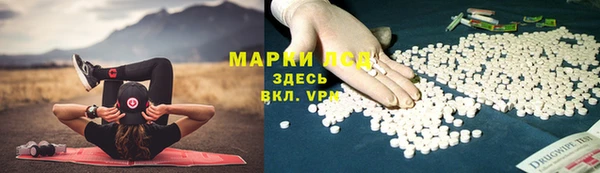 ГАЛЛЮЦИНОГЕННЫЕ ГРИБЫ Инта