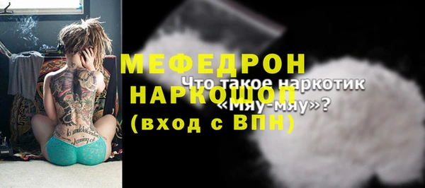 ГАЛЛЮЦИНОГЕННЫЕ ГРИБЫ Инта