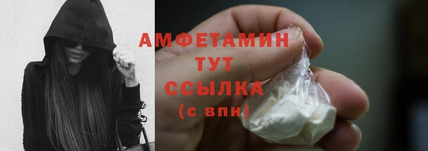 ГАЛЛЮЦИНОГЕННЫЕ ГРИБЫ Инта