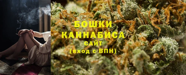 ГАЛЛЮЦИНОГЕННЫЕ ГРИБЫ Инта
