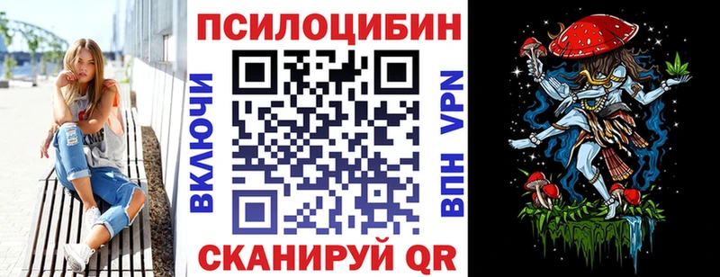 Псилоцибиновые грибы Cubensis  Камень-на-Оби 