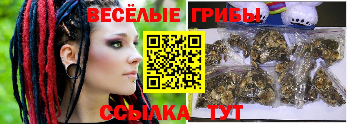 Галлюциногенные грибы мухоморы Камень-на-Оби